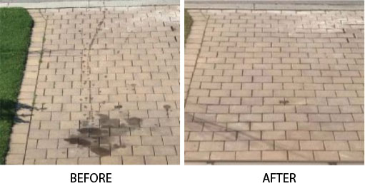 OLC Cleaner